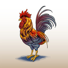 the premium vector rooster illustration  