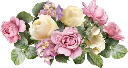 Pink and ivory roses isolated on a transparent background. Png file.  Floral arrangement, bouquet...