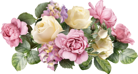 Pink and ivory roses isolated on a transparent background. Png file.  Floral arrangement, bouquet of garden flowers. Can be used for invitations, greeting, wedding card.