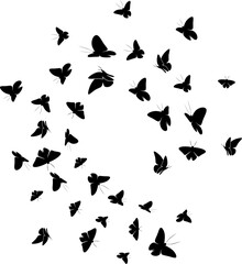 butterfly silhouette and vector ustration design
