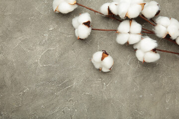 Fototapeta na wymiar Beautiful cotton branch on grey concrete background. Delicate white cotton flowers.