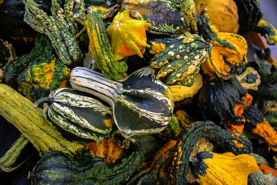 Farm-Fresh Seasonal Fruits & Veggies: Nature's Bounty Delivered