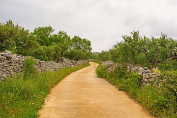 Fototapeta na wymiar The spring landscape near Loziscz village on Brac Island in Croatia
