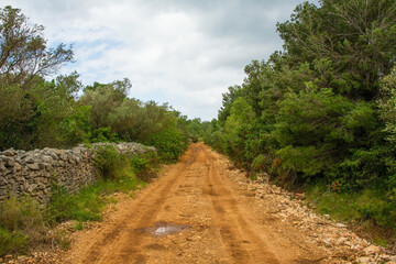 The rural landscape near Milna on Brac Island in Croatia in May