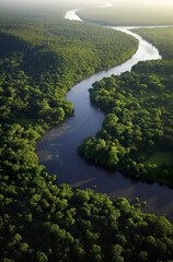 Fototapeta na wymiar Aerial view of the Amazonas jungle landscape with river bend.