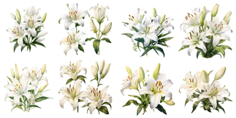 Foto op Plexiglas White lily illustration clipart. Generative AI. © Dian