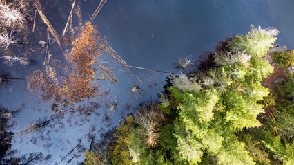 Debris floats in a still lake. Clouds reflect off the calm water. At the shore, trees grow
