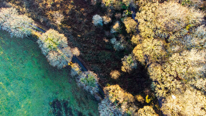 Naklejka na ściany i meble Top down view of trees bordering a field. Taken near Helston, Cornwall, UK