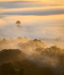 Auckland city in a sea of fog at sunrise. View from Mt Eden summit. Auckland. Vertical format.