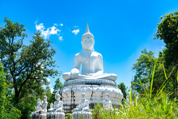 There is a large white Buddha statue and around it there are smaller Buddha statues in the middle...