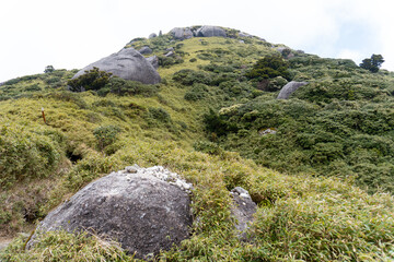The view between Mt. Kuromi and Mt. Miyanoura in Yakushima
