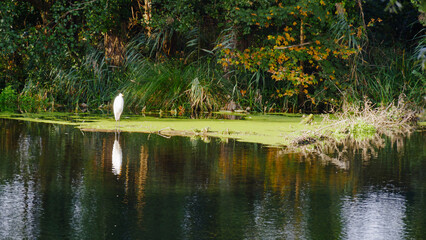 Herbst in der Rheinebene