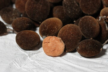 velvet tamarind fruits isolated on white background ( Dialium cochinchinense)