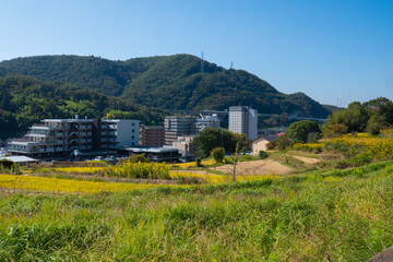 秋の田園風景