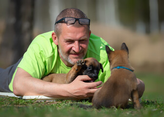 Smiling man hugging two Belgian Malinois puppies