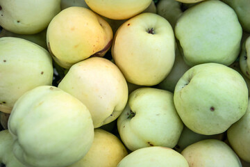 Close up of green apples in a box, healthy fruits for nutrition