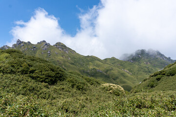 The view between Mt. Miyanoura and Mt. Nagata in Yakushima