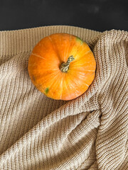 Small pumpkin on a beige knitted sweater. Autumn concept. Top view