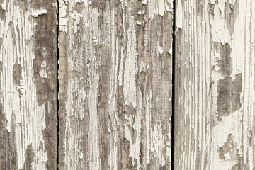 Old wooden fence with cracked paint closeup. Texture of old boards, texture of old fence