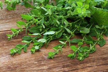 Fresh leaves of mint balm, Melissa officinalis, on the wooden table.  The leaves are used as a herb, in teas and a flavouring.