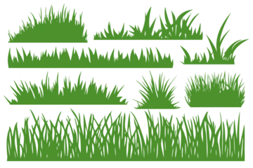 Foto op Plexiglas Set of vector green grass. © POKPAK
