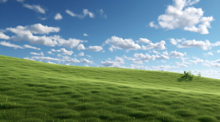 Fototapeta premium Meadow sky grass nature summer blue