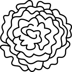 marigold  icon