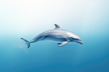 Dolphin Struggles In Polluted Sea Environment