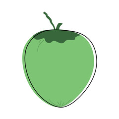 Fruit elements. Hand drawn vector illustration.