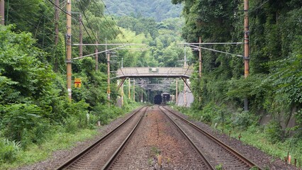 Scenic view of a train track surrounded by buildings, trees, and overhead electrical wiring