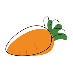 Fruit elements. Hand drawn vector illustration.