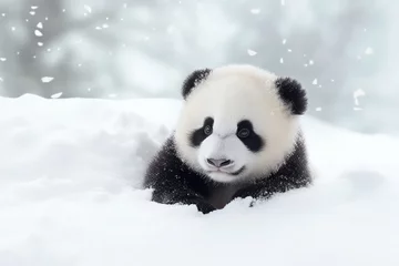 Fotobehang Cute Panda Baby Playing In Snowy Winter © Anastasiia