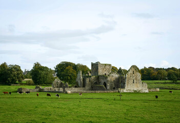 Cistercian monastery near the Rock of Cashel in County Tipperary, Irelandin, during the autumn