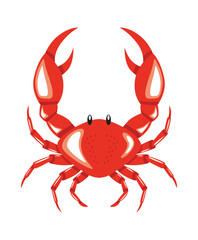 Red crab isolated icon on white background. Vector illustration.