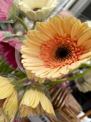 Picture of beautiful yellow daisies