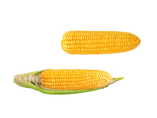yellow ripe corn Isolated PNG transparent