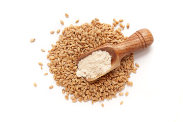 Top view of a wooden scoop filled with organic Wheat (Triticum) Flour Isolated on a white...