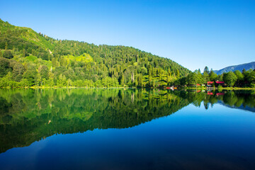 Obraz premium Borcka Black Lake is in Artvin city. - Image