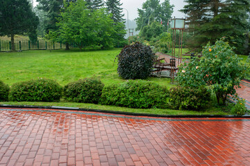 rain in the park - water on the cobblestone street - thick drops of rain water