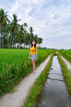 A girl stands beside the green paddy field and a small stream.