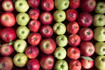 Background of red apples and ripe grapes. Fruit texture.