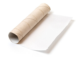 Empty Toilet Paper Roll
