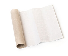 Empty Towel Paper Roll