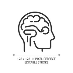 2D pixel perfect editable black brain and eye icon, isolated simple vector, thin line illustration representing eye care.