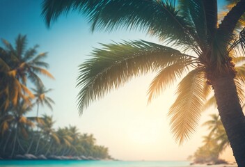Fototapeta premium palm trees on the beach
