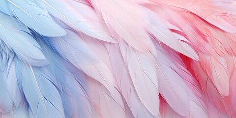 Colorful decorative background showcases dreamy pastel fluffy bird feather in soft pink and blue....