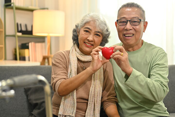 Positive senior couple holding a red heart shape as a symbol health care, love and insurance