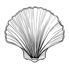 Seashell, clam shell