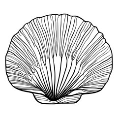 Seashell, clam shell