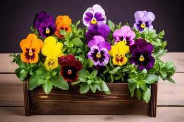 Deurstickers vibrant pansies arranged in a wooden box © Alfazet Chronicles